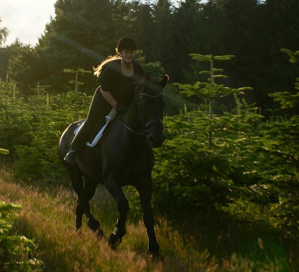 Oldenborg Bella af Hesselbjerggård billede 19