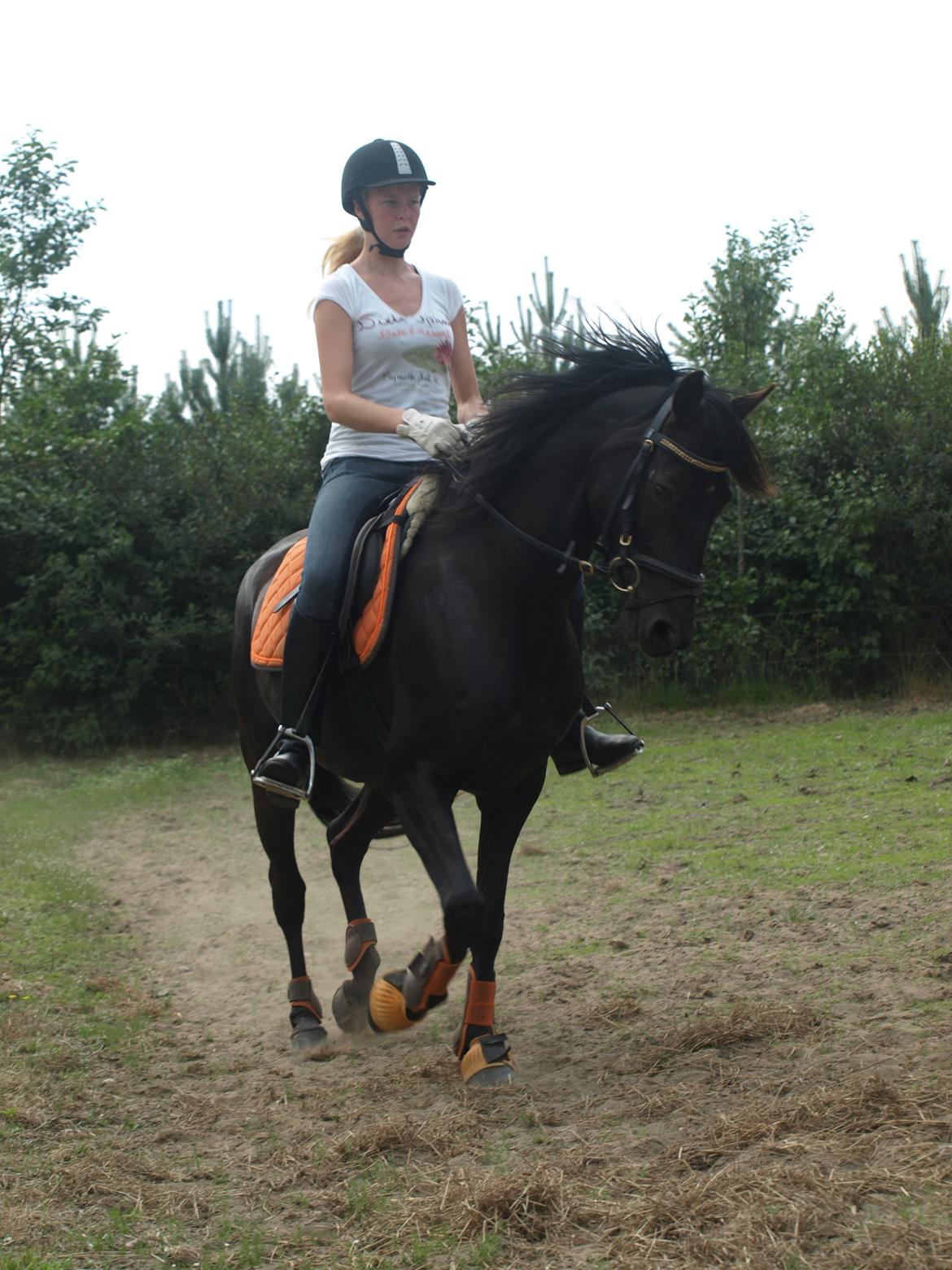 Anden særlig race Beauty {den nye stjerne} - Træning hjemme;-) billede 18