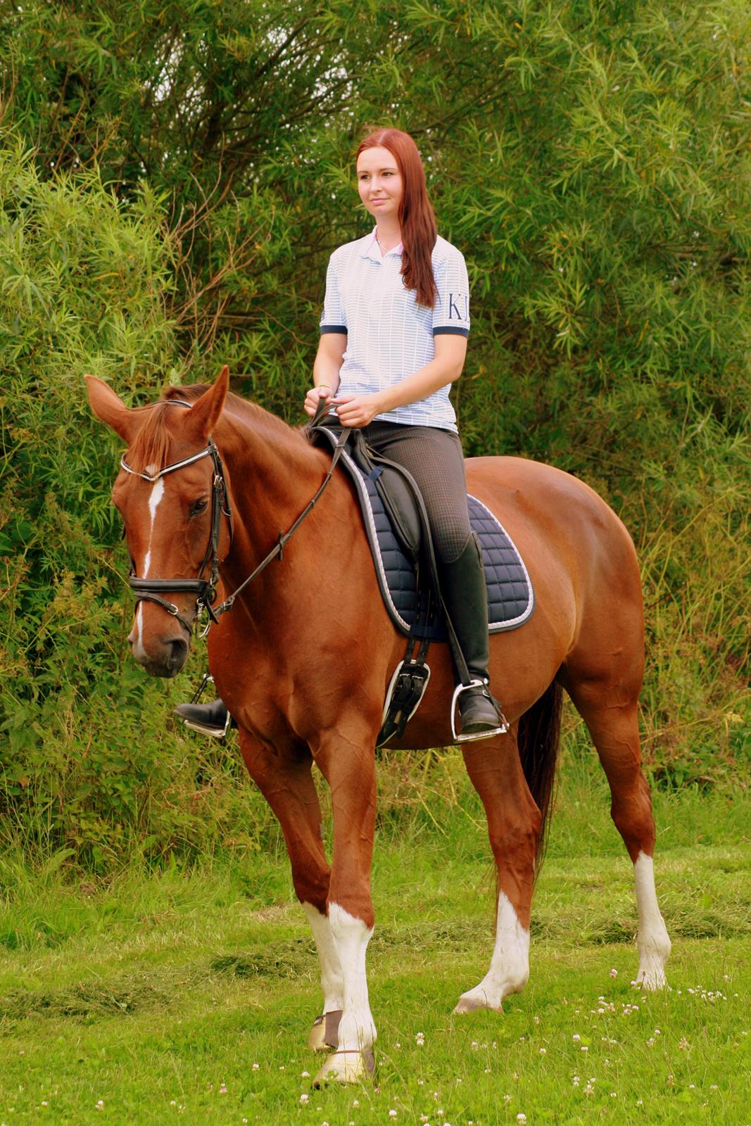 Hollandsk Varmblod Camilla - "Venskaber gør modgangen lettere at bære, og medgangen mere fortryllende, fordi man deles om det."
Tuse Creek Ranch - 5. Juli 2012 billede 15