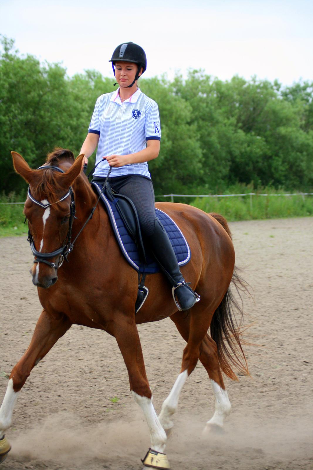 Hollandsk Varmblod Camilla - “She moved like a dancer, which is not surprising; a horse is a beautiful animal, but it is perhaps most remarkable because it moves as if it always hears music.” 
Tuse Creek Ranch - 5. Juli 2012 billede 4