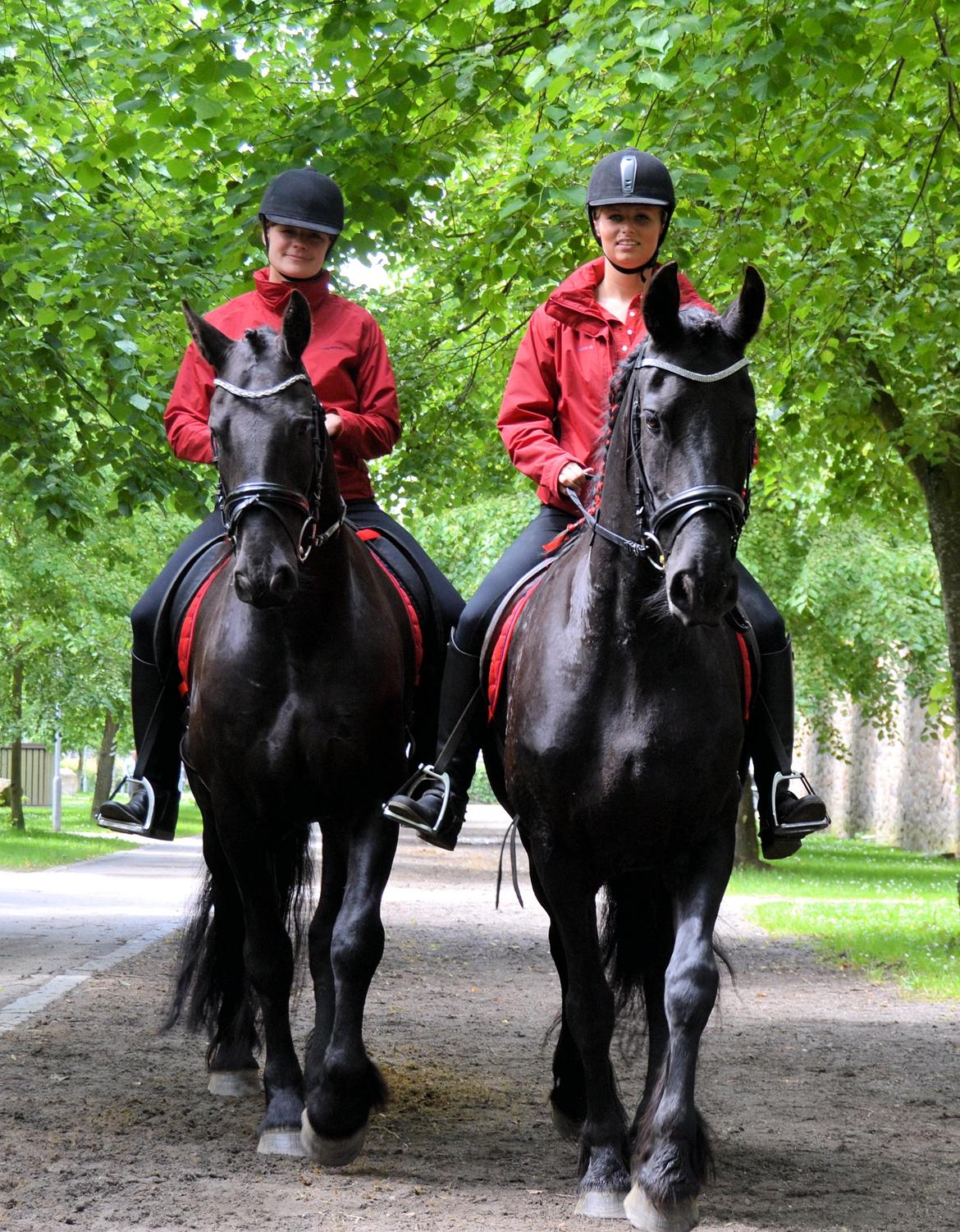 Frieser Zaino af Granly billede 7