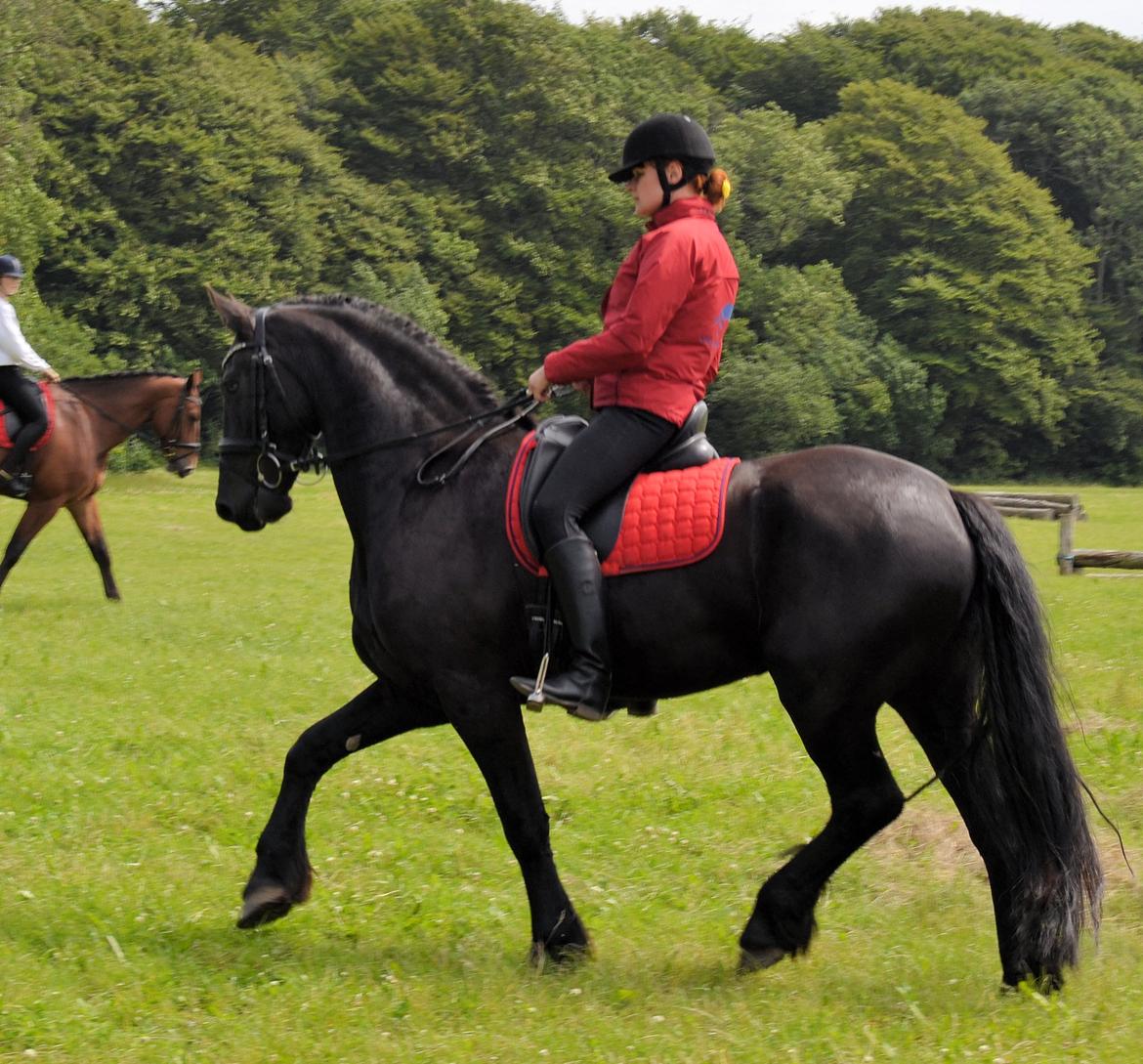 Frieser Zaino af Granly billede 8