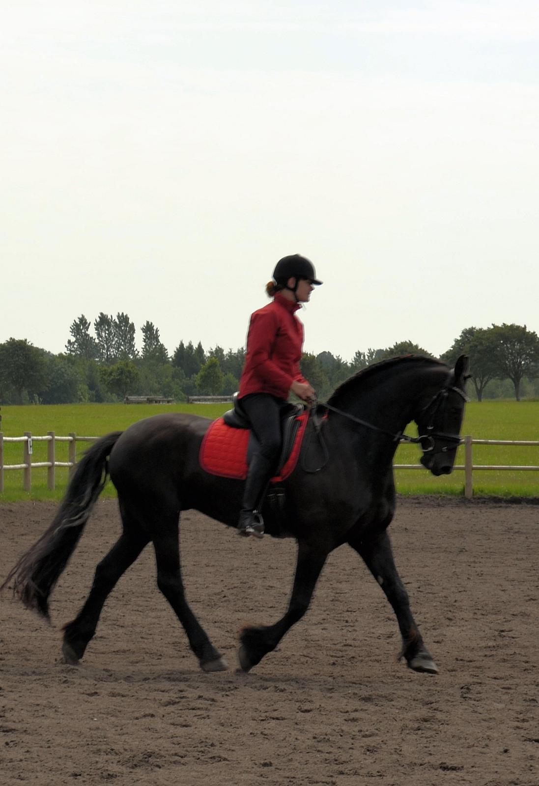 Frieser Zaino af Granly billede 10