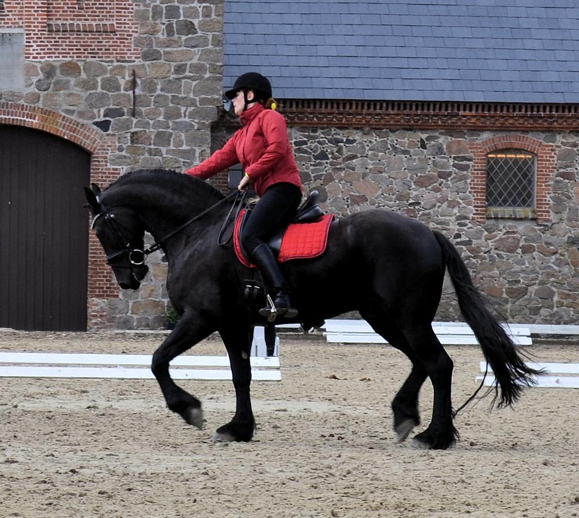 Frieser Zaino af Granly billede 11