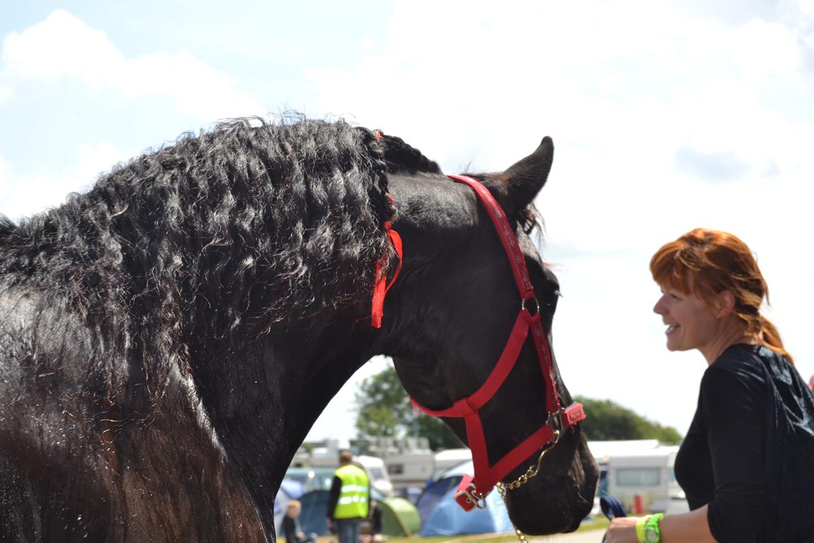 Frieser Zaino af Granly billede 12