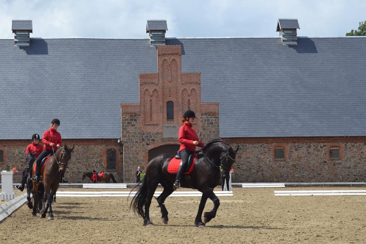 Frieser Zaino af Granly billede 13