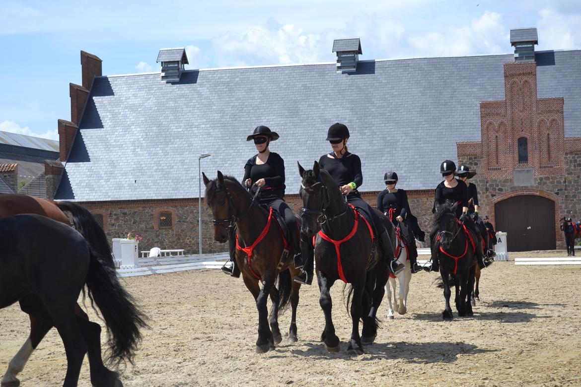 Frieser Zaino af Granly billede 14