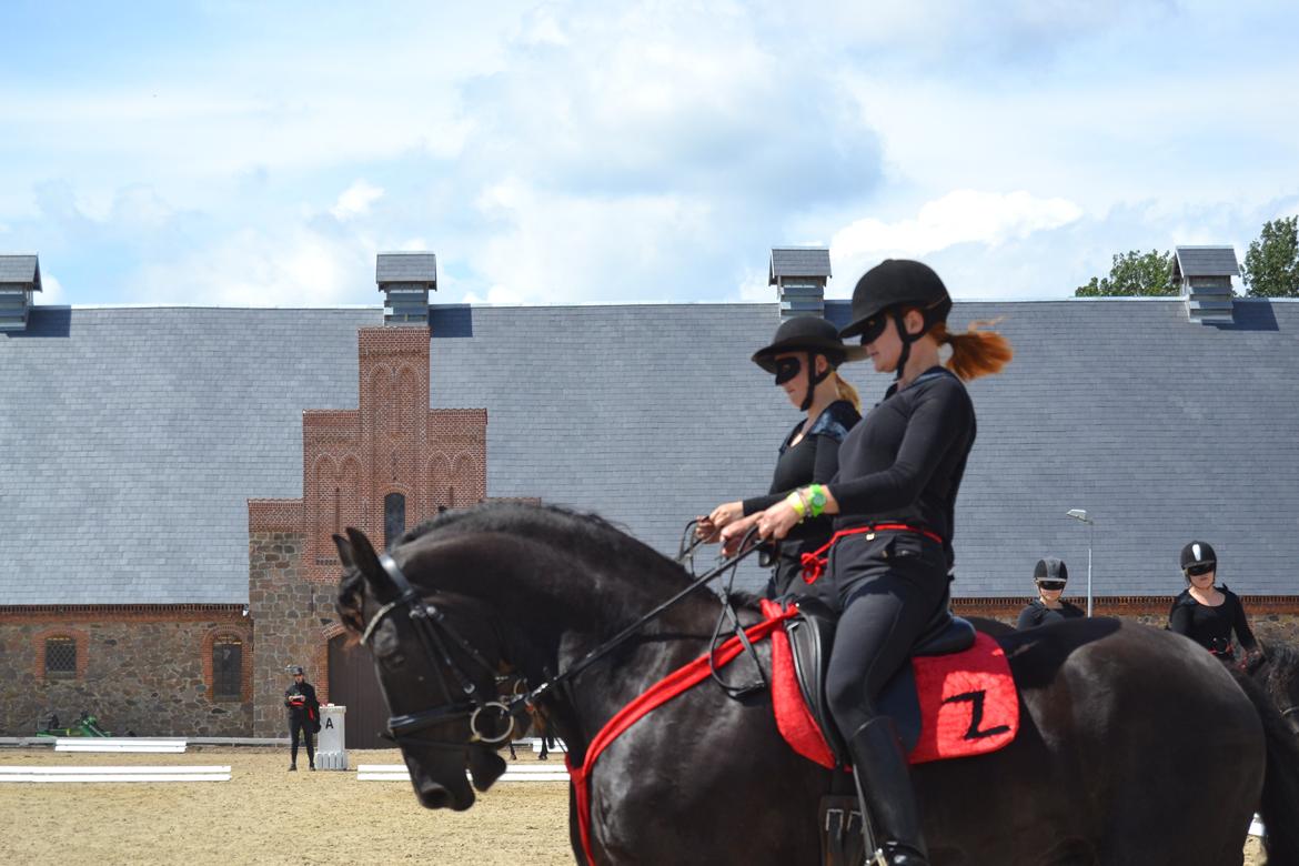 Frieser Zaino af Granly billede 15