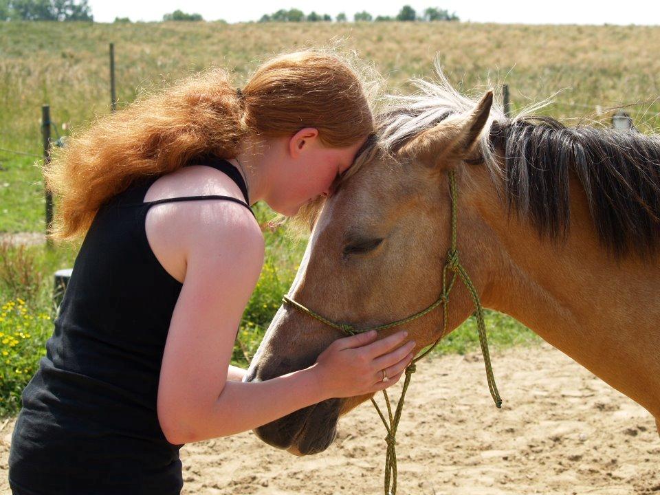 Anden særlig race My Yellow Dream - Nussedyr :) billede 10