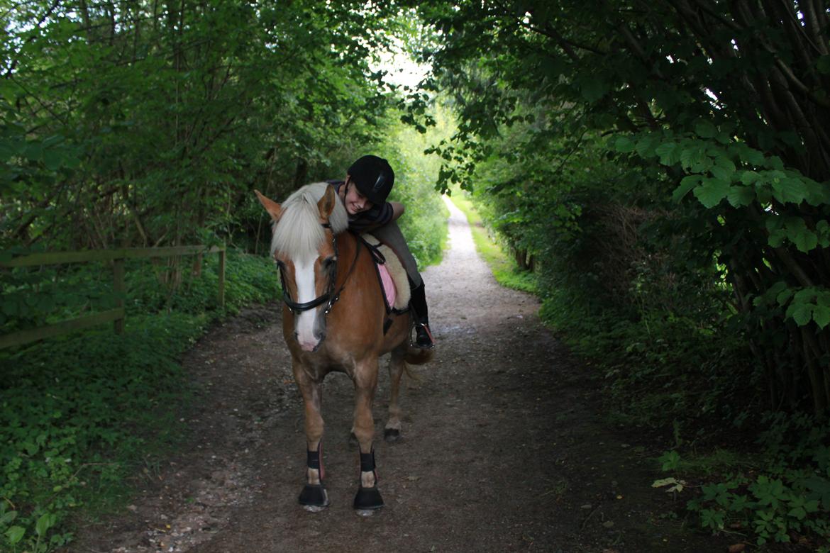 Haflinger Studgårdens Sally <3<3 - 5] En lile skridt tur, ud i det blå :-) 

Dato: 30.06 2012 
Foto: Emilie B billede 5
