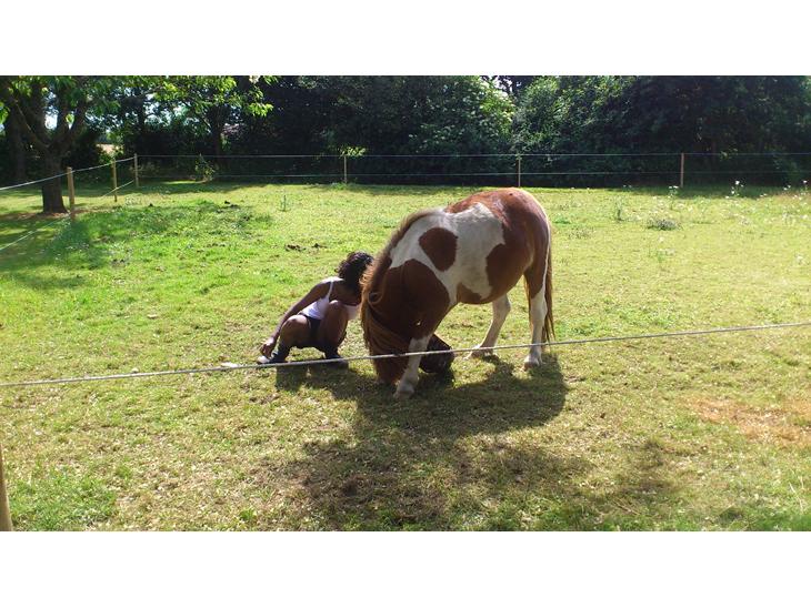 {{currentPhoto.altText}} billede {{currentPhoto.number}}