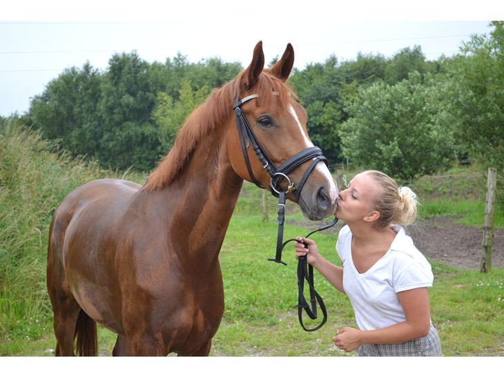 {{currentPhoto.altText}} billede {{currentPhoto.number}}