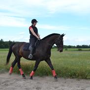 Anden særlig race Chiffon la bevuee