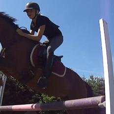 Anden særlig race Quick Brown Lady Z