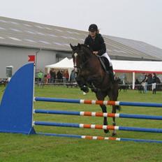 Westfaler Pianissimo