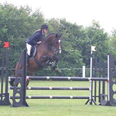 Westfaler Pianissimo