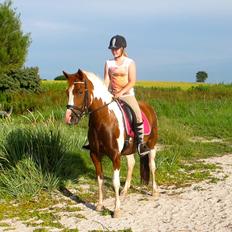 Anden særlig race Sheeba