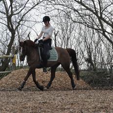 DSP Firhøjs Pernod Solgt