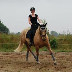 Palomino Axélls Bette Davis