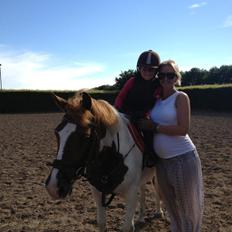 Anden særlig race Sillepigen