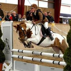 Anden særlig race Sillepigen