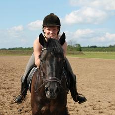 New Forest Vognmandsgården Alkatraz