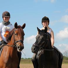 New Forest Vognmandsgården Alkatraz