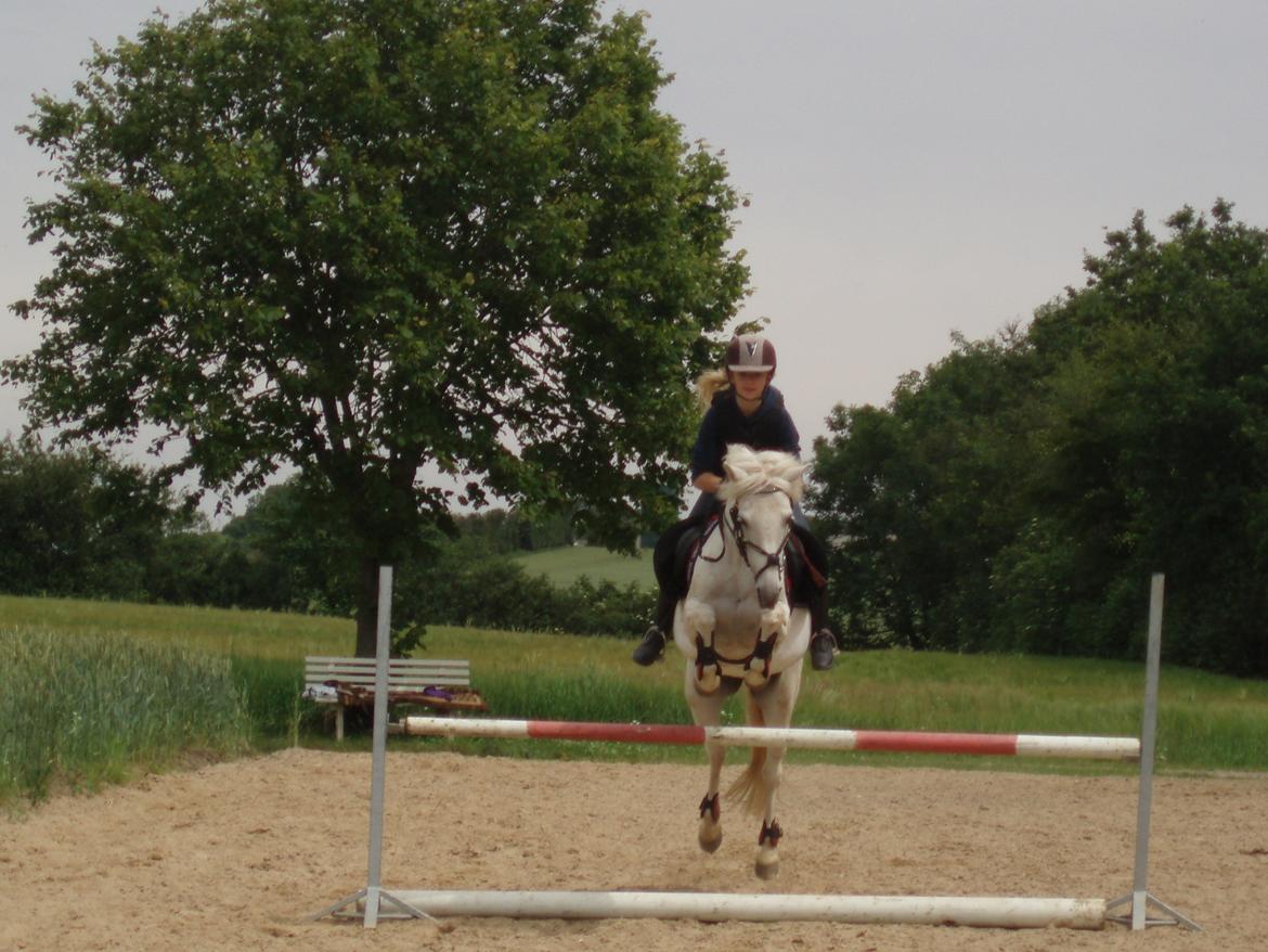 Anden særlig race Truska - Pro!<3 billede 5