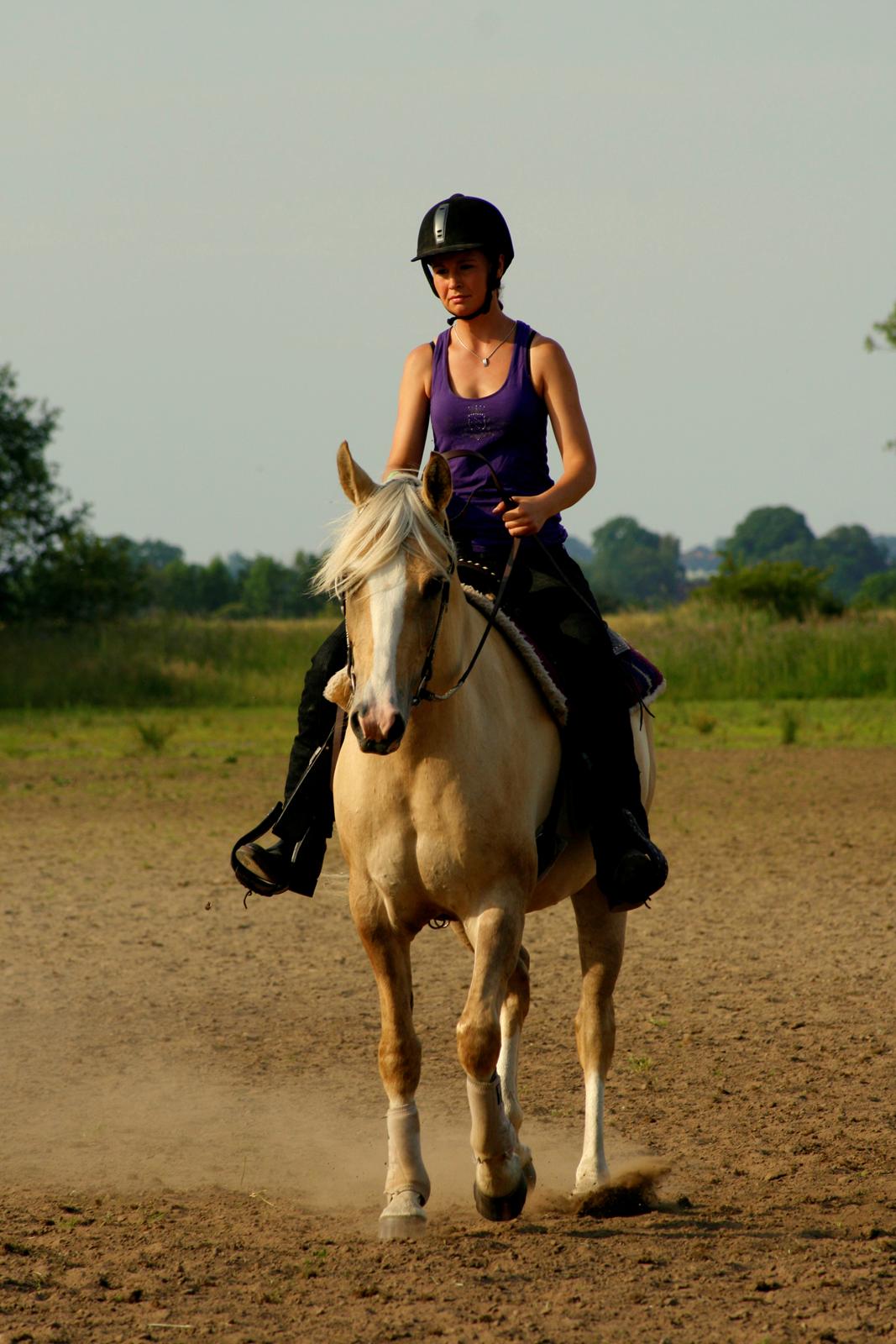 Palomino Golden candy - 
"Don't let the fear from striking out, keep you from playing the game."

 — her: Tuse Creek Ranch. billede 10