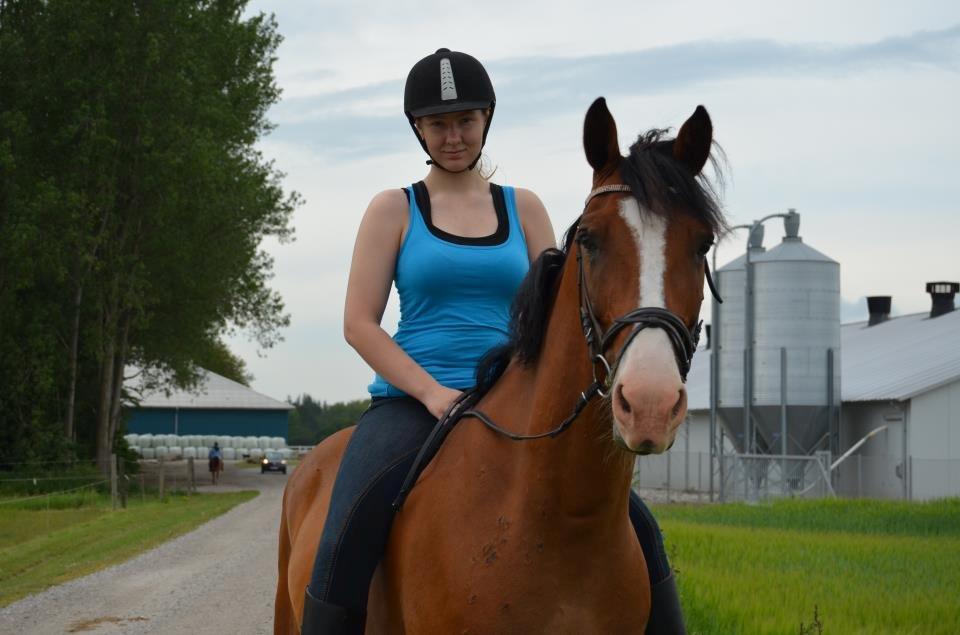 Anden særlig race Rex billede 3