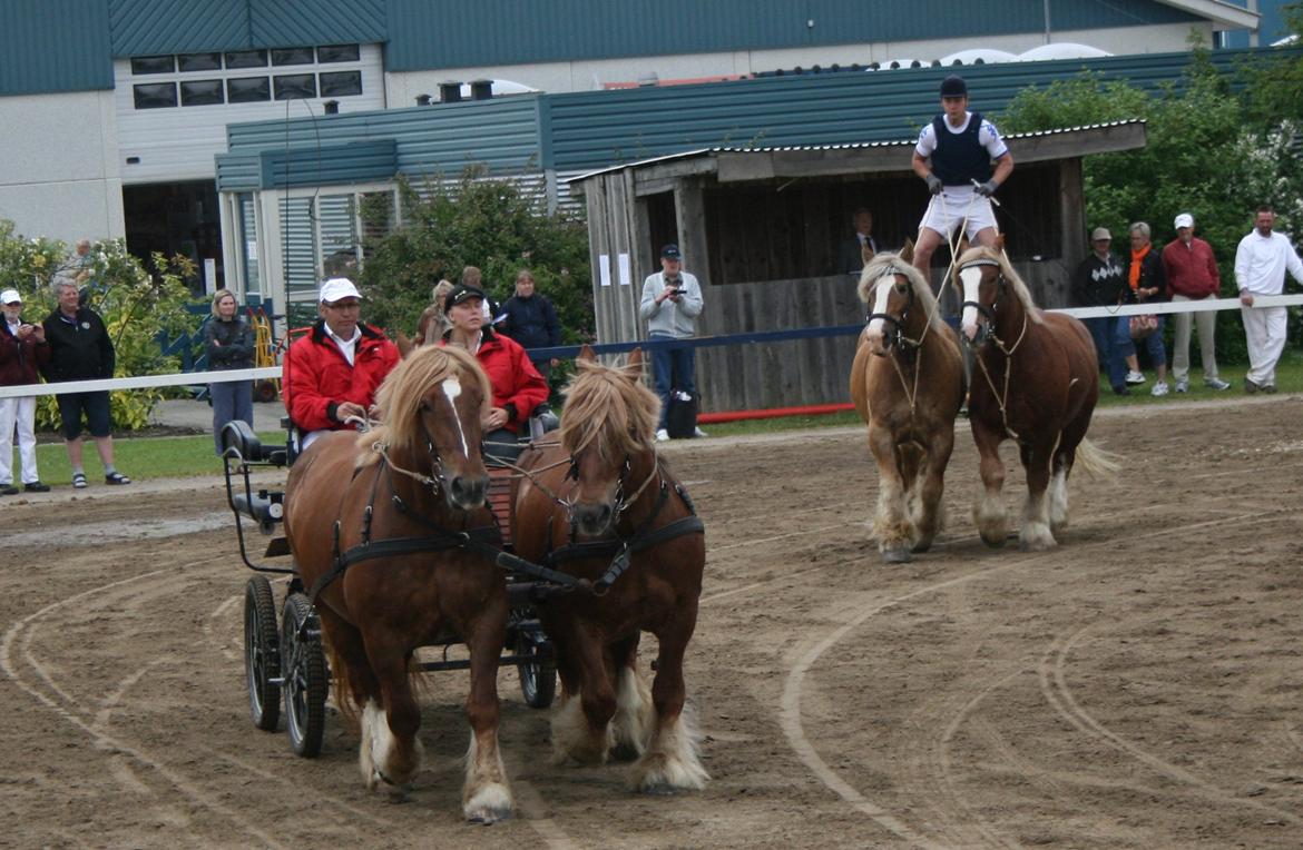 Jyde Frigg billede 4