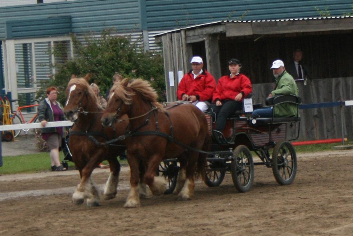 Jyde Frigg billede 16