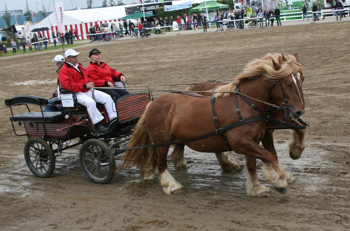 Jyde Frigg billede 7