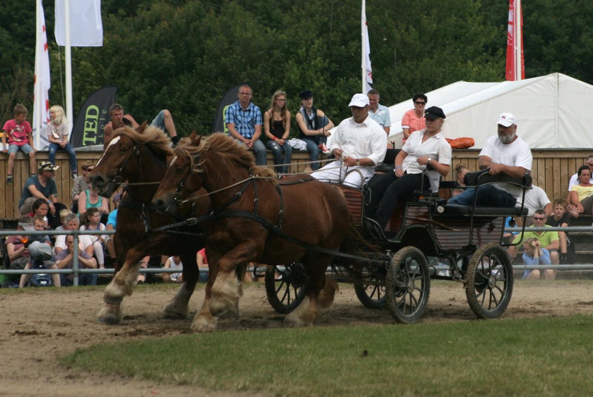 Jyde Frigg billede 9