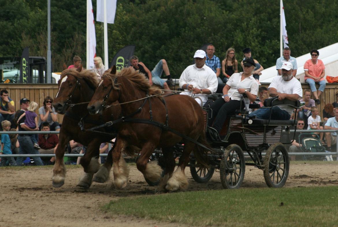 Jyde Frigg billede 2