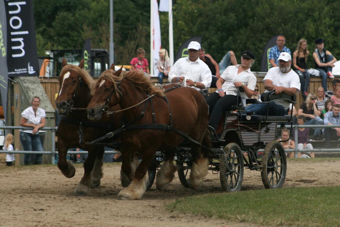 Jyde Frigg billede 17