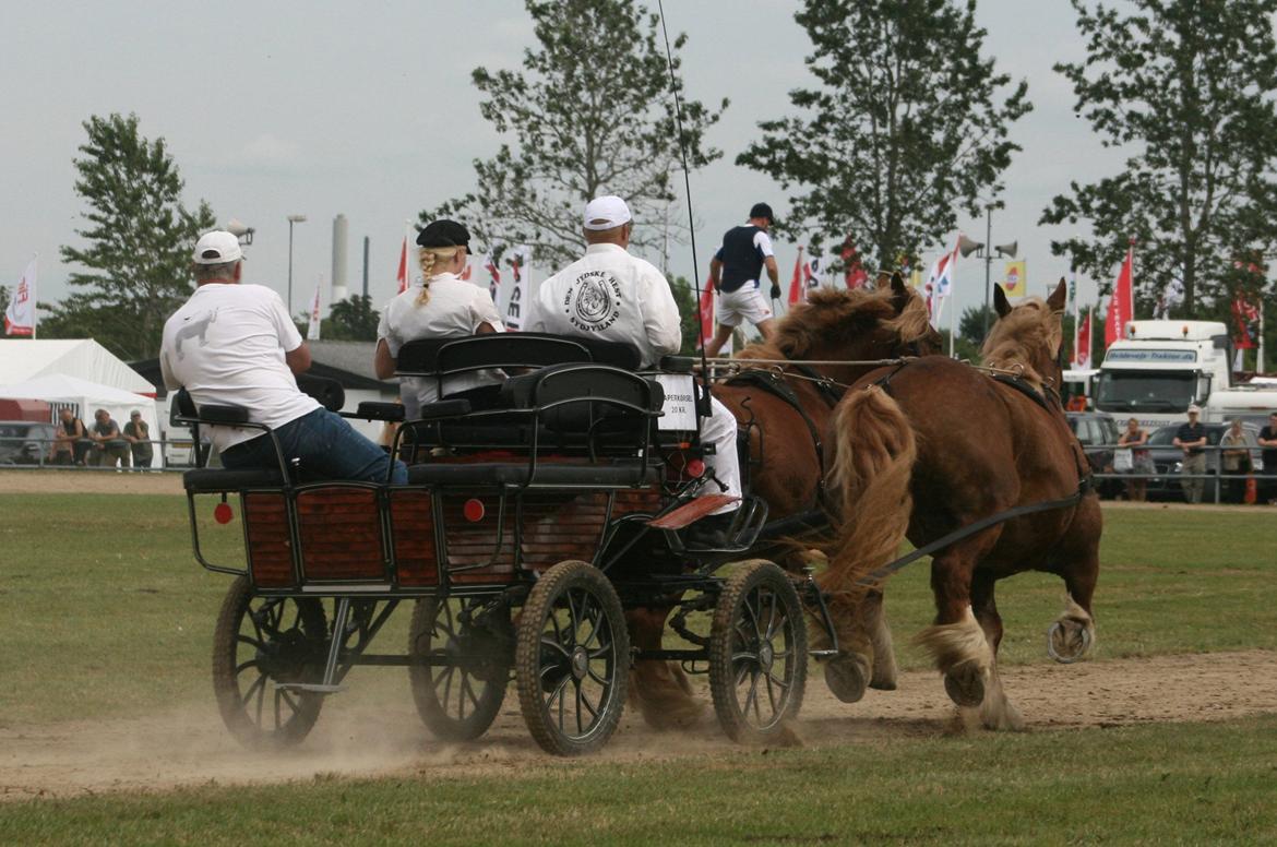 Jyde Frigg billede 20