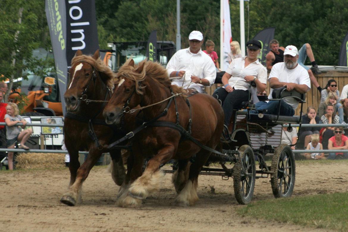 Jyde Freja billede 19