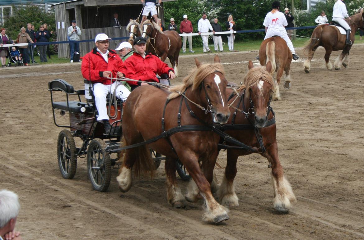 Jyde Freja billede 20