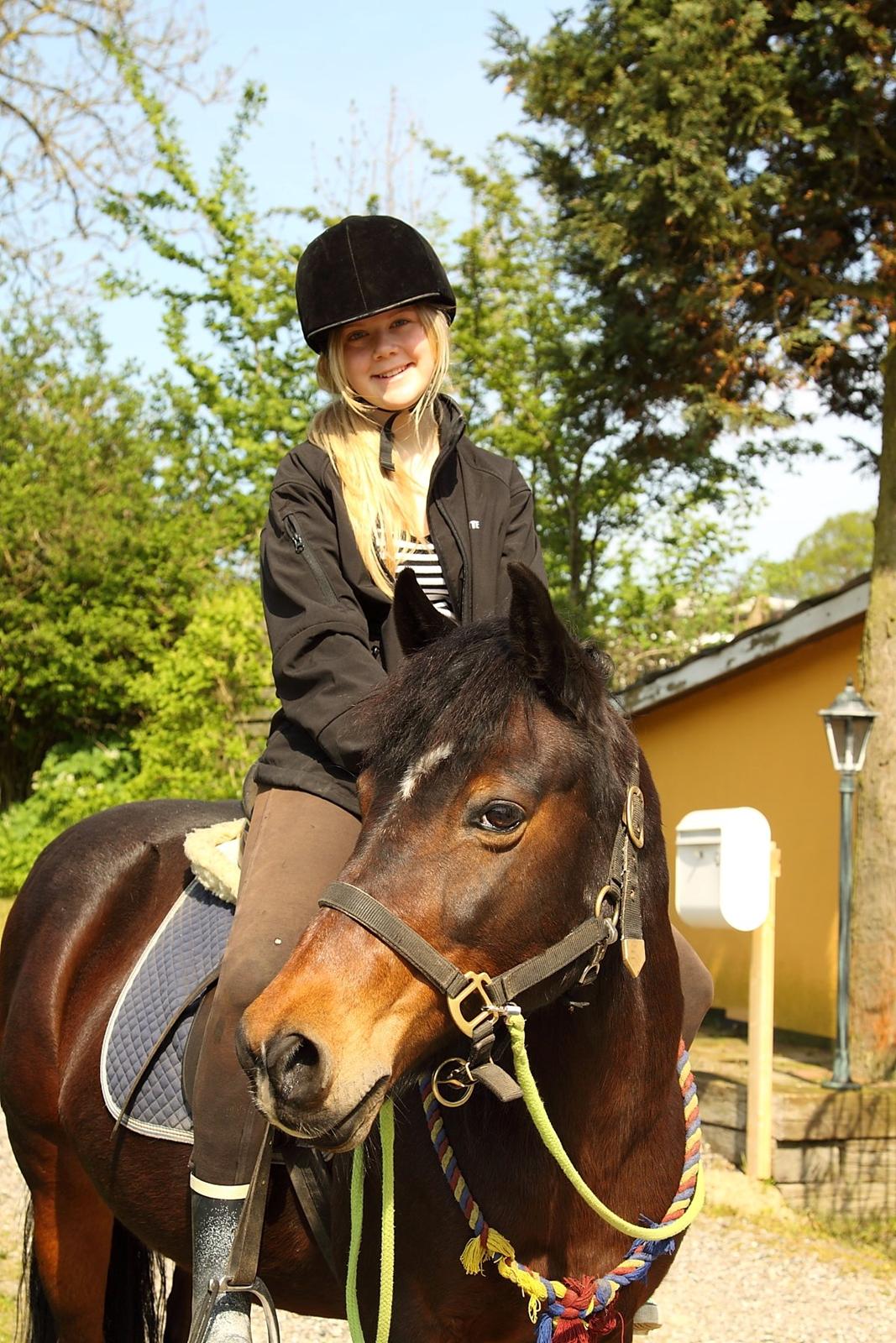 Anden særlig race Pretty - Hvil i fred! - 20. Maj. Prettys 18 års fødselsdag og vores sidste tur <3 billede 14