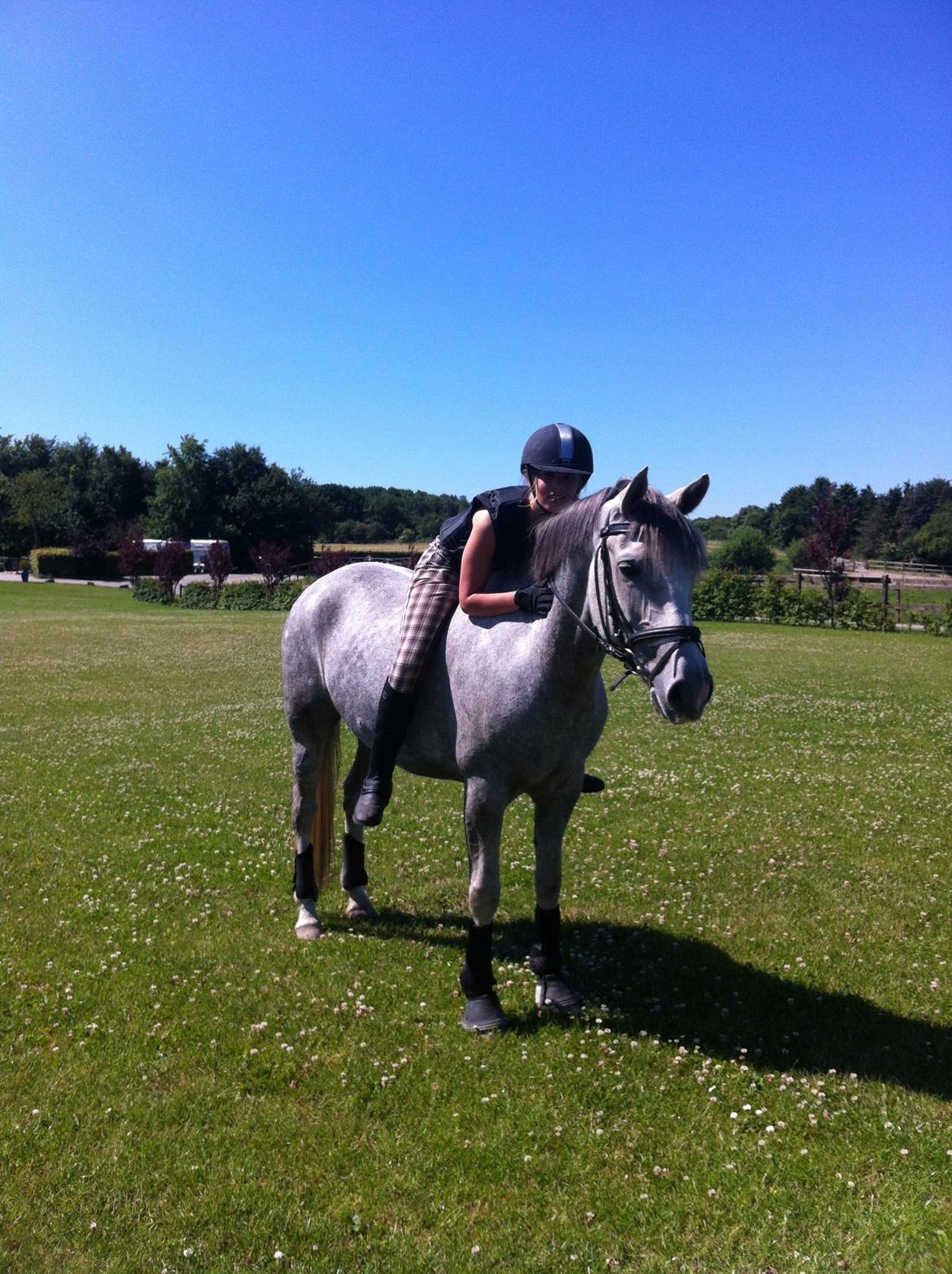 Anden særlig race MC Zoya Z - Pony love.... billede 12