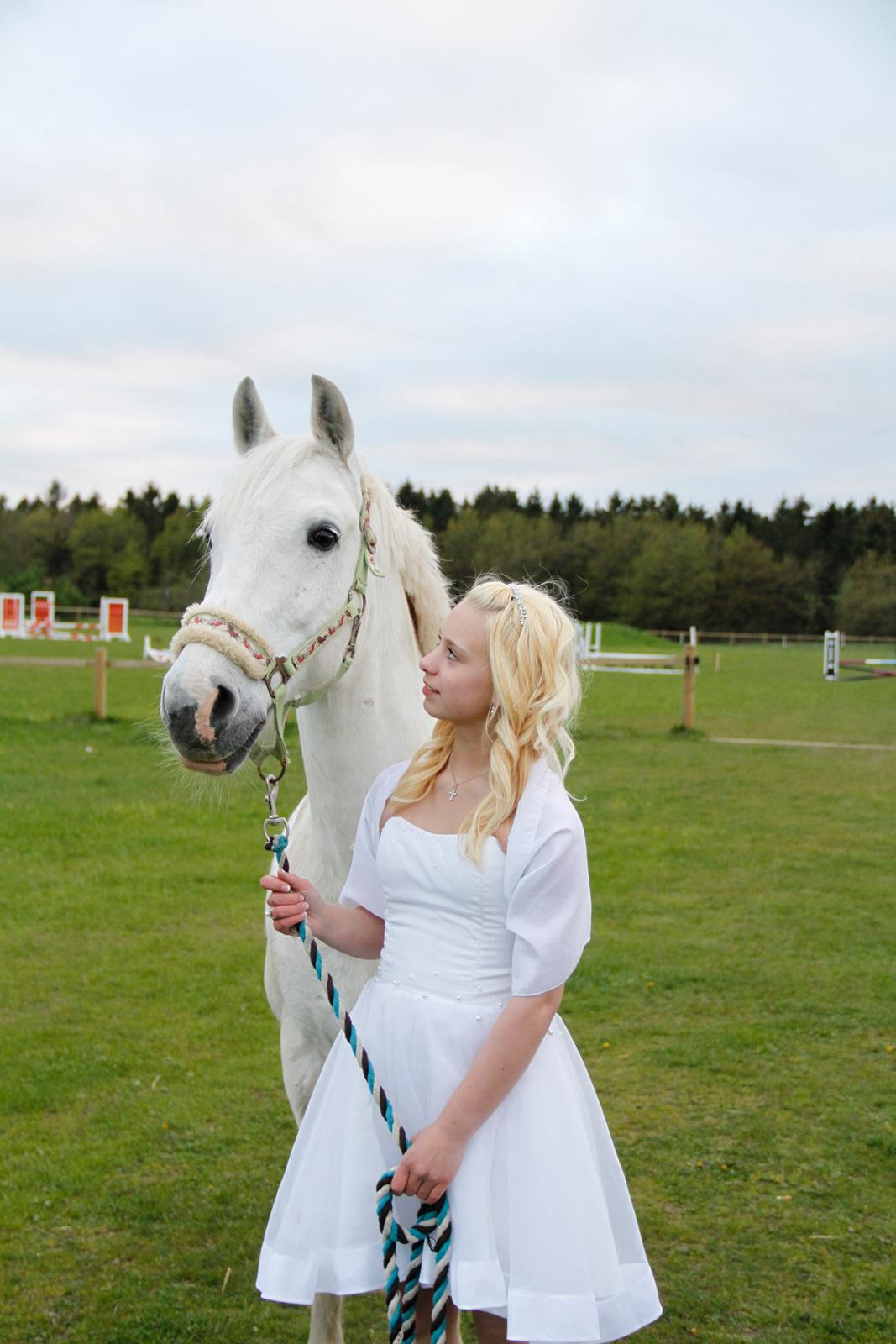 Anden særlig race MisseKatten Lucas<3 - Konfirmation d.17 Maj 2012<3 billede 15