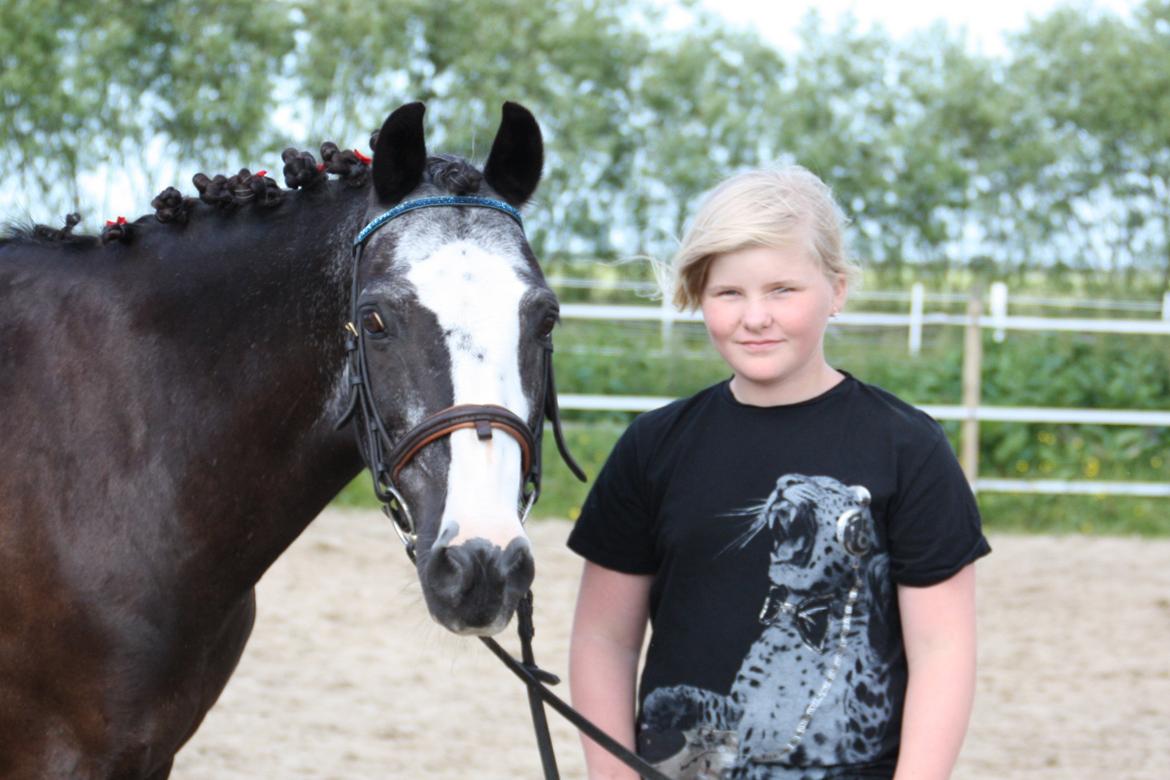 Anden særlig race Pondus - Hej og velkommen til Ponduses profil. billede 1