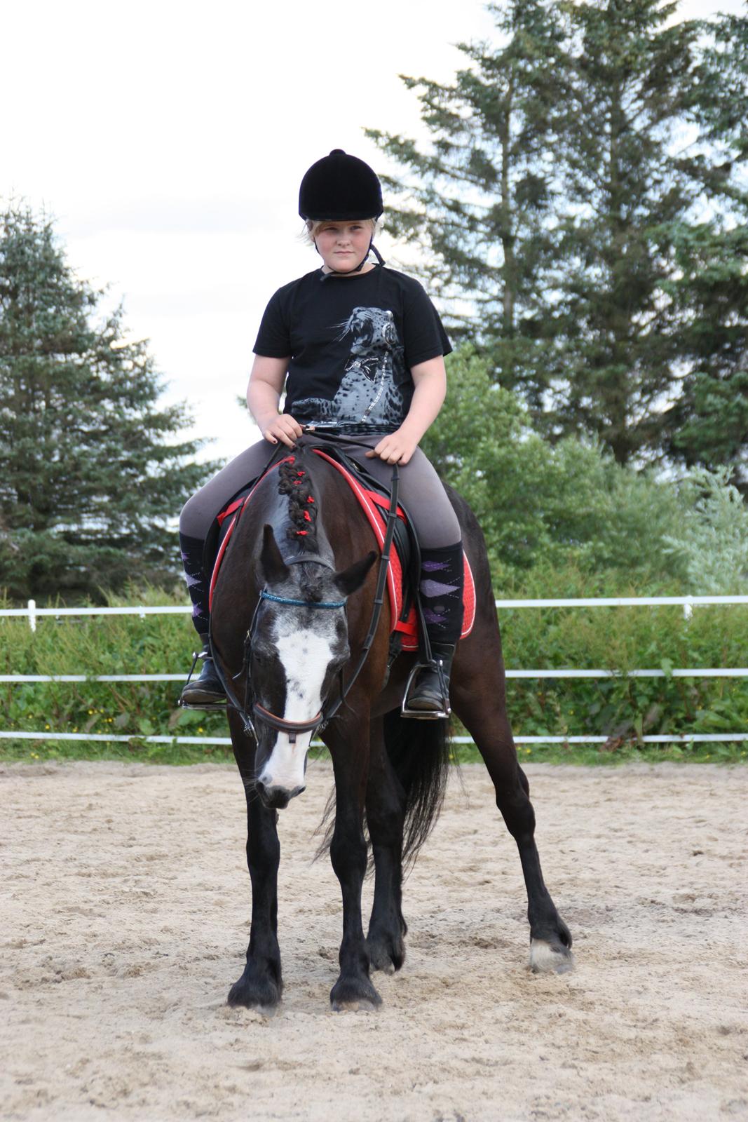 Anden særlig race Pondus billede 13