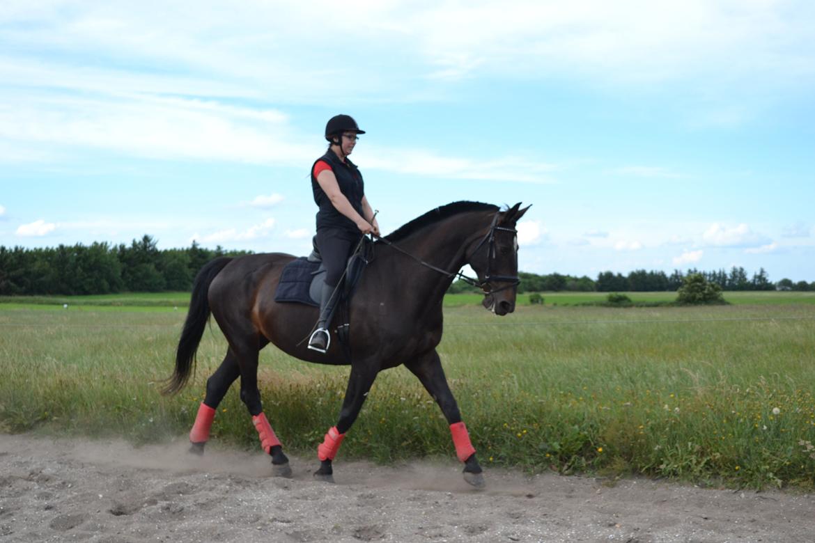 Anden særlig race Chiffon la bevuee billede 1