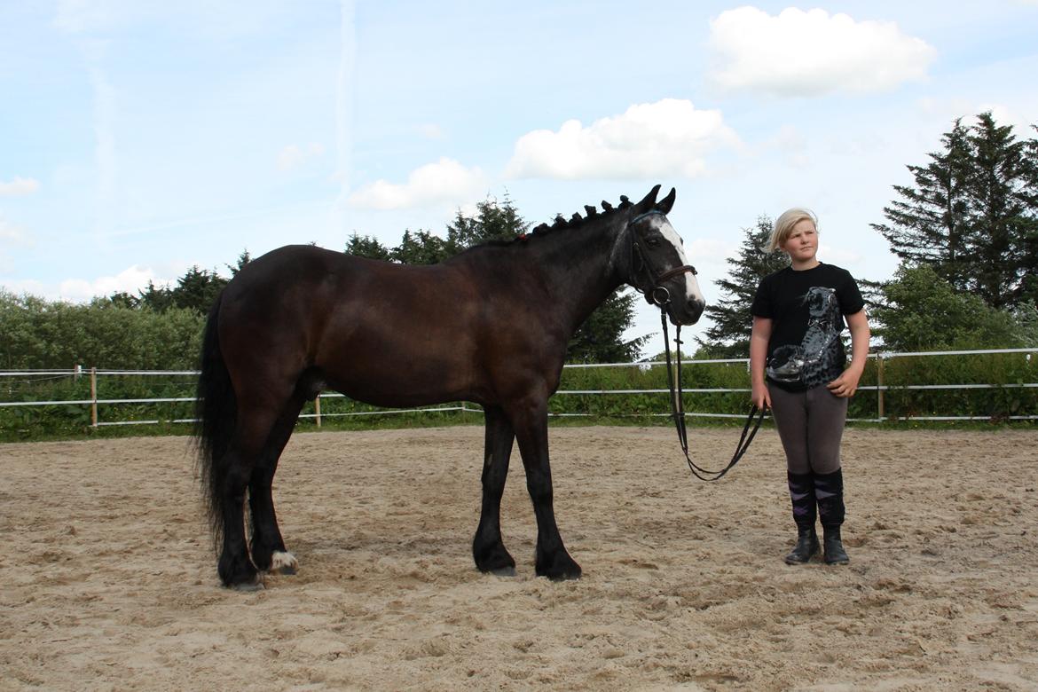 Anden særlig race Pondus billede 14