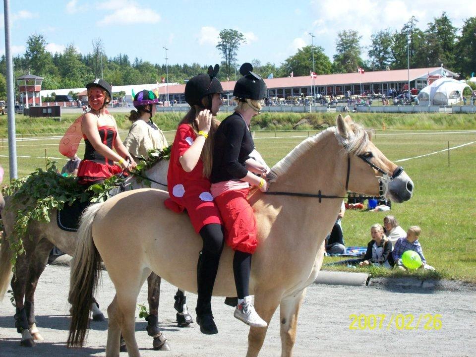 Fjordhest Klemmed's Anemone SOLGT - Dyrskue 2012, kostume ridning, mig og Jess var Mickey og Minnie mouse. billede 4