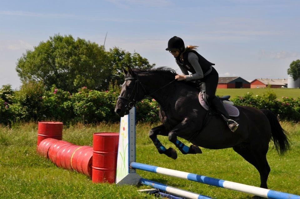 Anden særlig race Zachos Leica billede 1