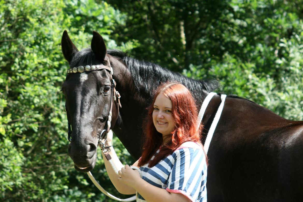 Dansk Varmblod Domingo - Elsker dig hest <3 Foto: Maibritt U. billede 20