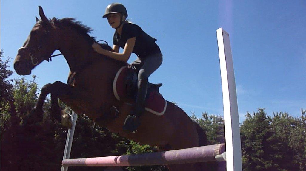 Anden særlig race Quick Brown Lady Z - Velkommen til Quik brown lady z´s profil:-D smid gerne en kommentar:-D billede 1